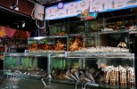 balihai_seafood_aquariums