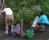 Taman Gemilang 2012