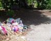 Taman Gemilang 2012