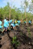 Delta Mangrove Planting