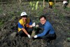 Delta Mangrove Planting