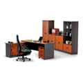 Budget Office Systems