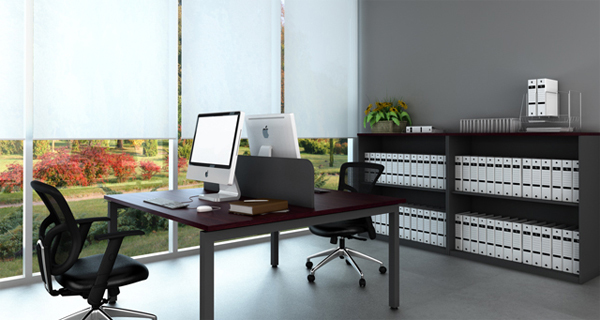 lowcabinets_desc1.jpg