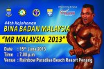 mr_malaysia_banner_12_x_8